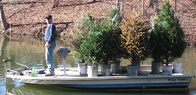 family boat 001